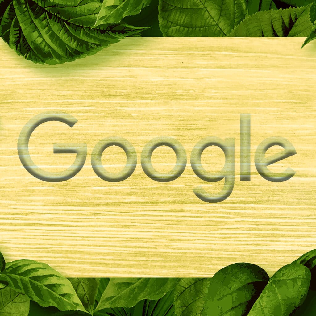 Google e ambiente